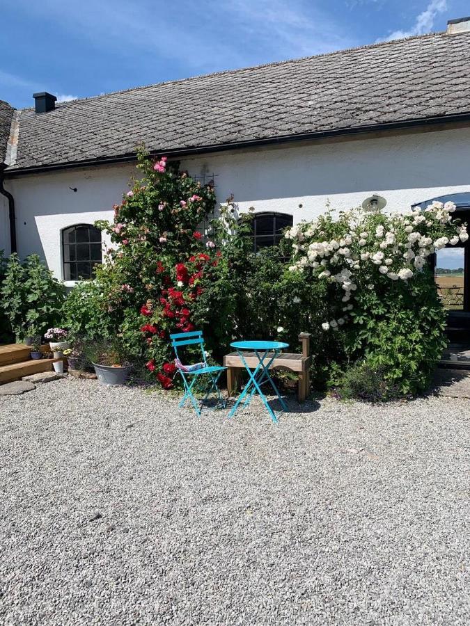 Raevakra B&B Hammenhög Eksteriør billede