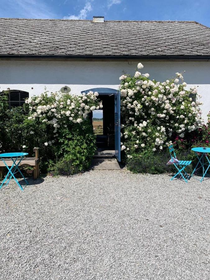 Raevakra B&B Hammenhög Eksteriør billede